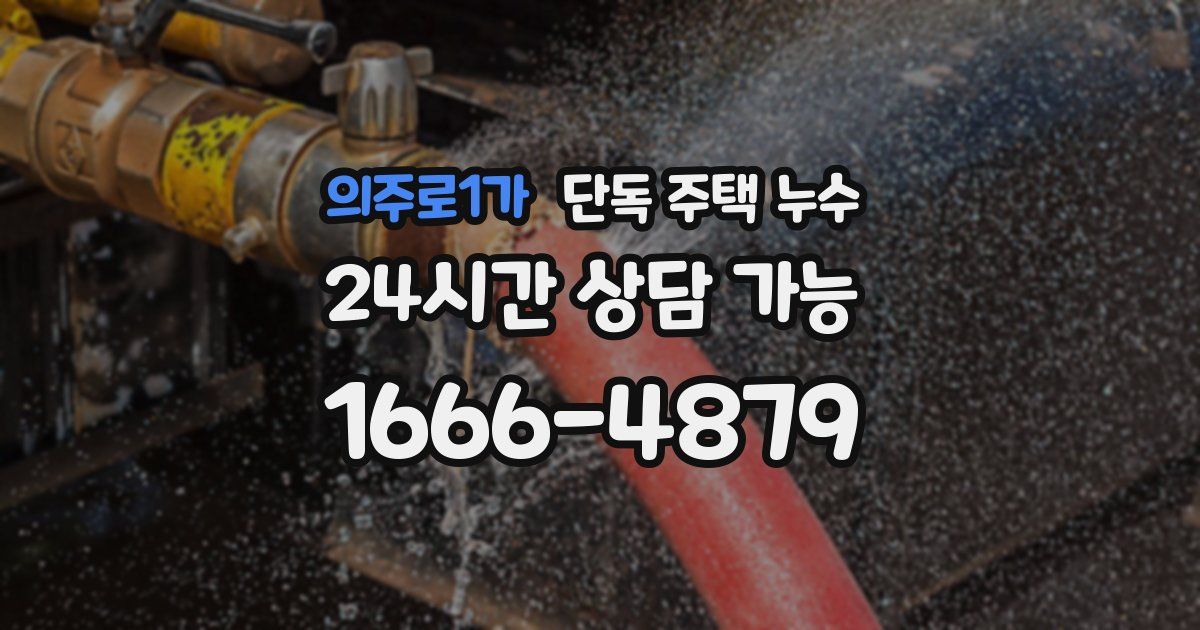 의주로1가 단독 주택 누수