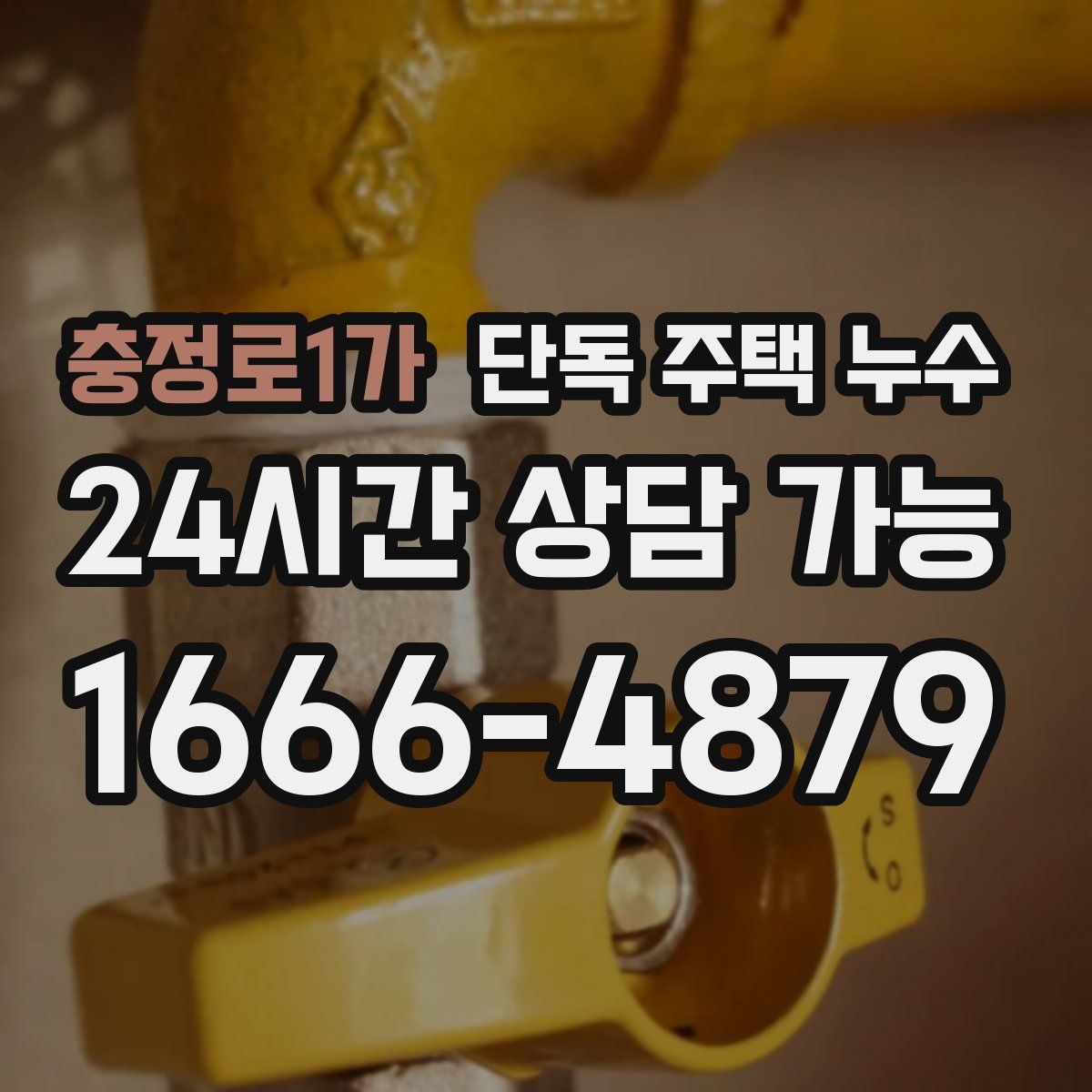 충정로1가 단독 주택 누수