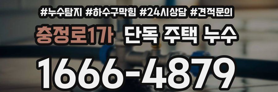 충정로1가 단독 주택 누수