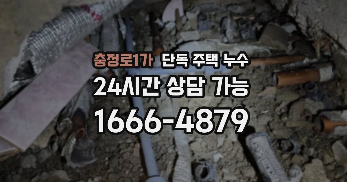충정로1가 단독 주택 누수