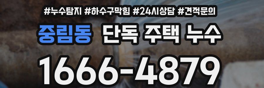 중림동 단독 주택 누수
