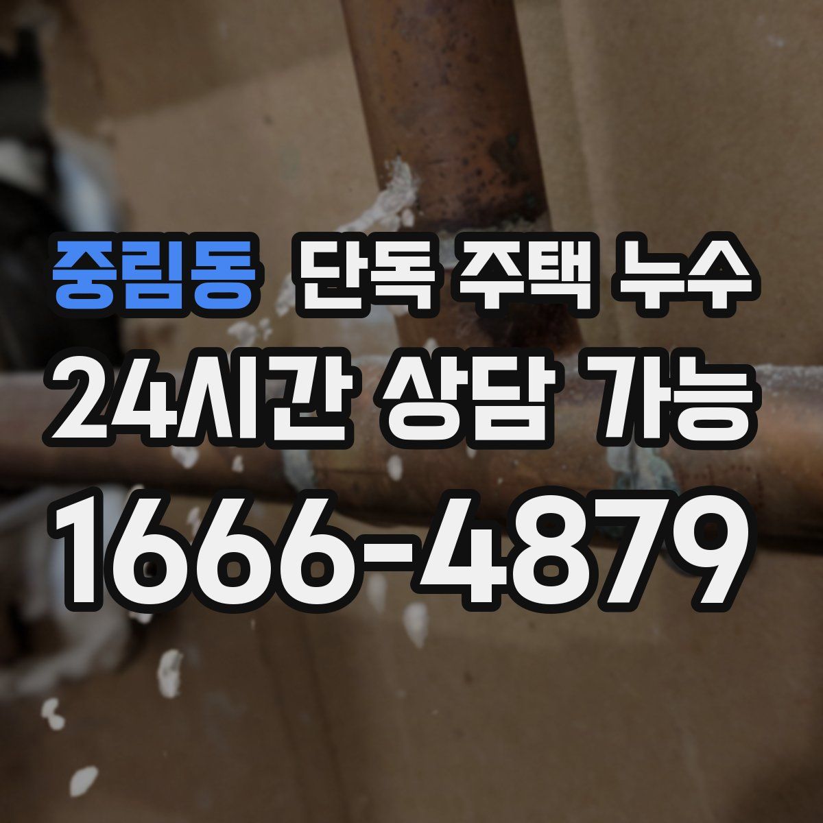 중림동 단독 주택 누수