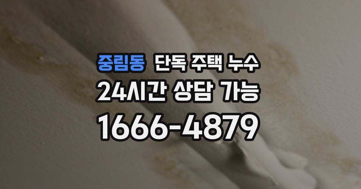 중림동 단독 주택 누수