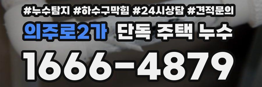 의주로2가 단독 주택 누수