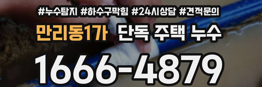 만리동1가 단독 주택 누수