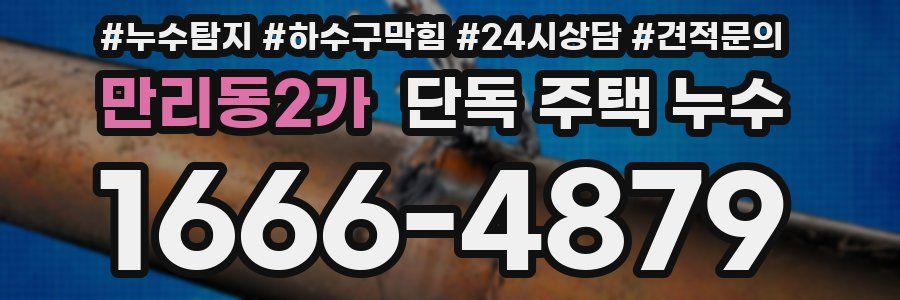 만리동2가 단독 주택 누수