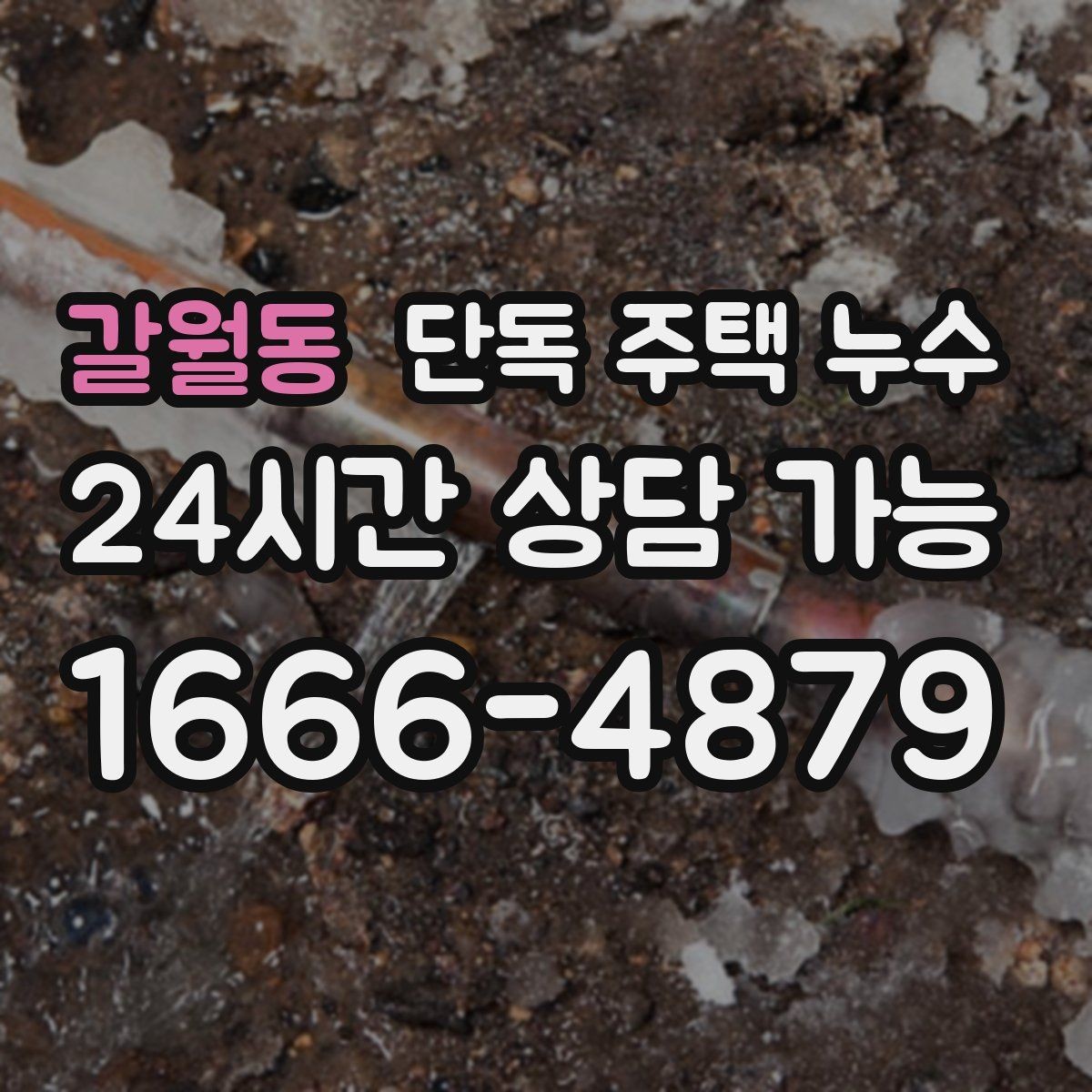 갈월동 단독 주택 누수 벽 하단만 젖는다면 배수 문제일까