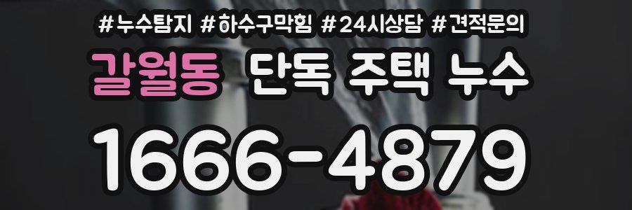 갈월동 단독 주택 누수