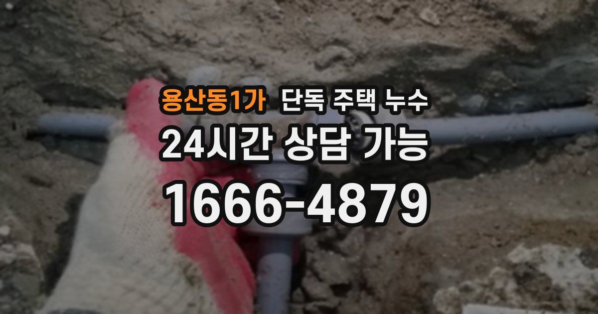 용산동1가 단독 주택 누수