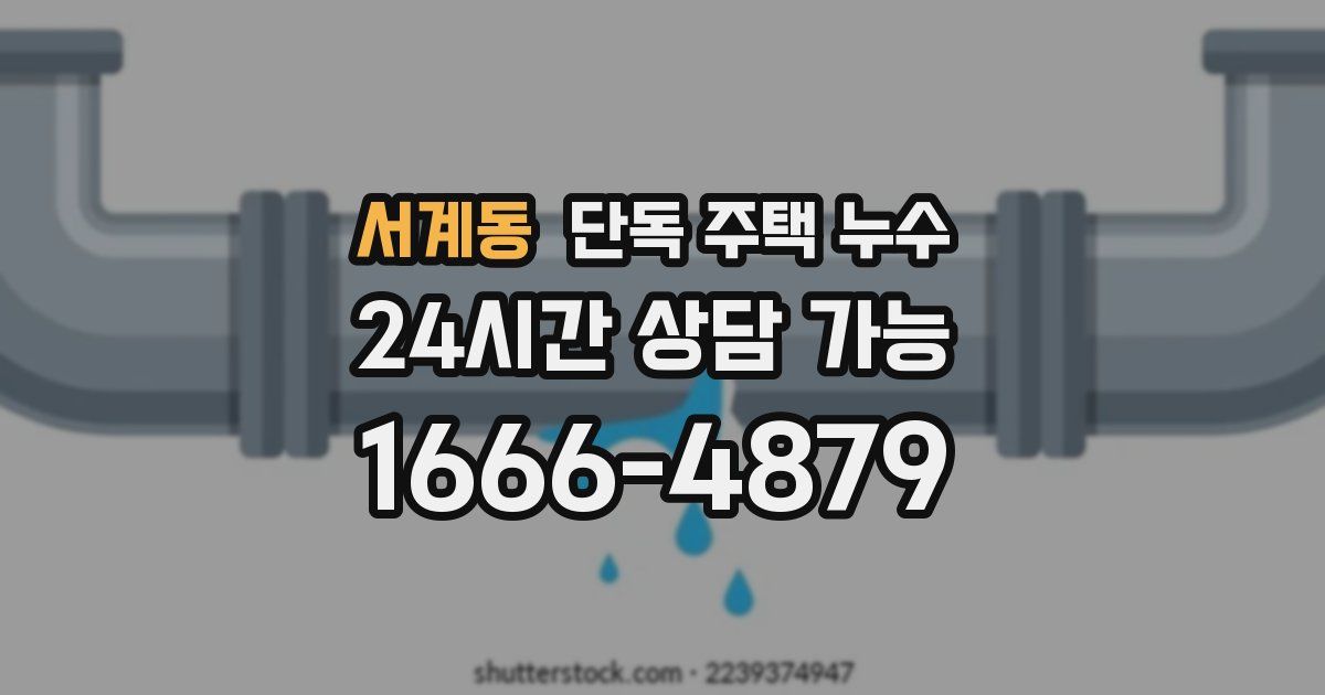 서계동 단독 주택 누수
