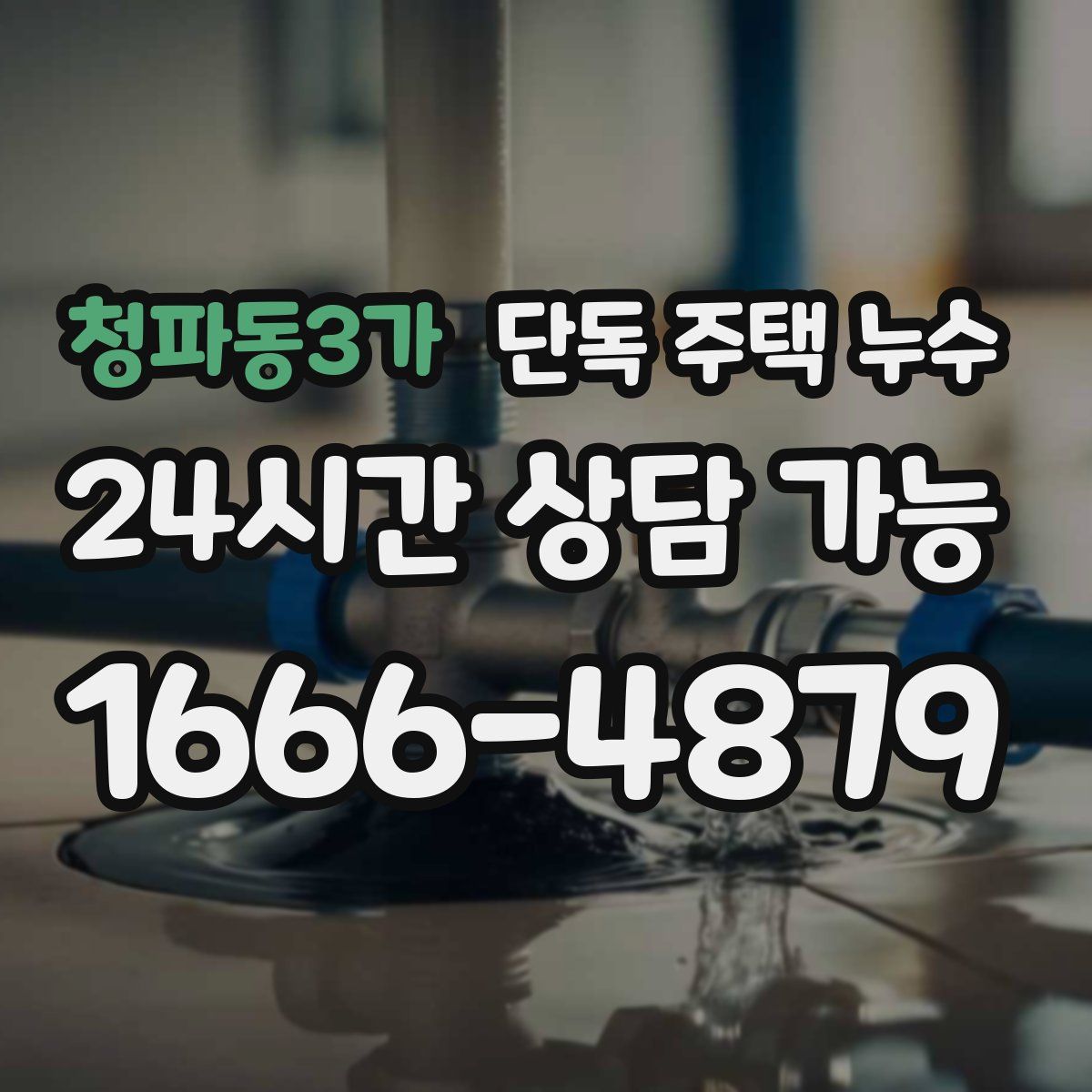 청파동3가 단독 주택 누수