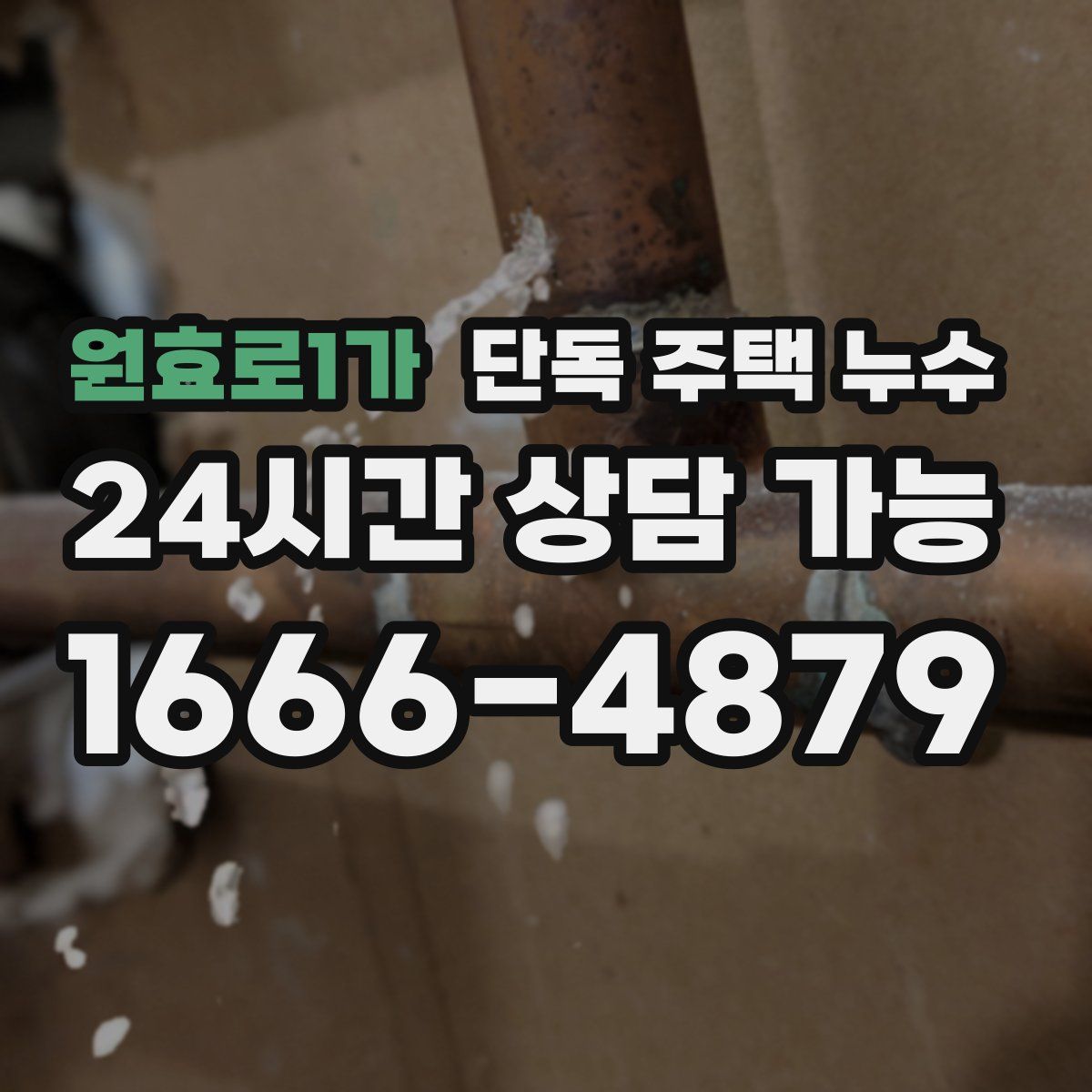 원효로1가 단독 주택 누수
