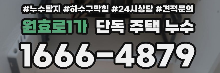 원효로1가 단독 주택 누수