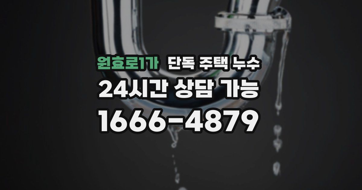 원효로1가 단독 주택 누수