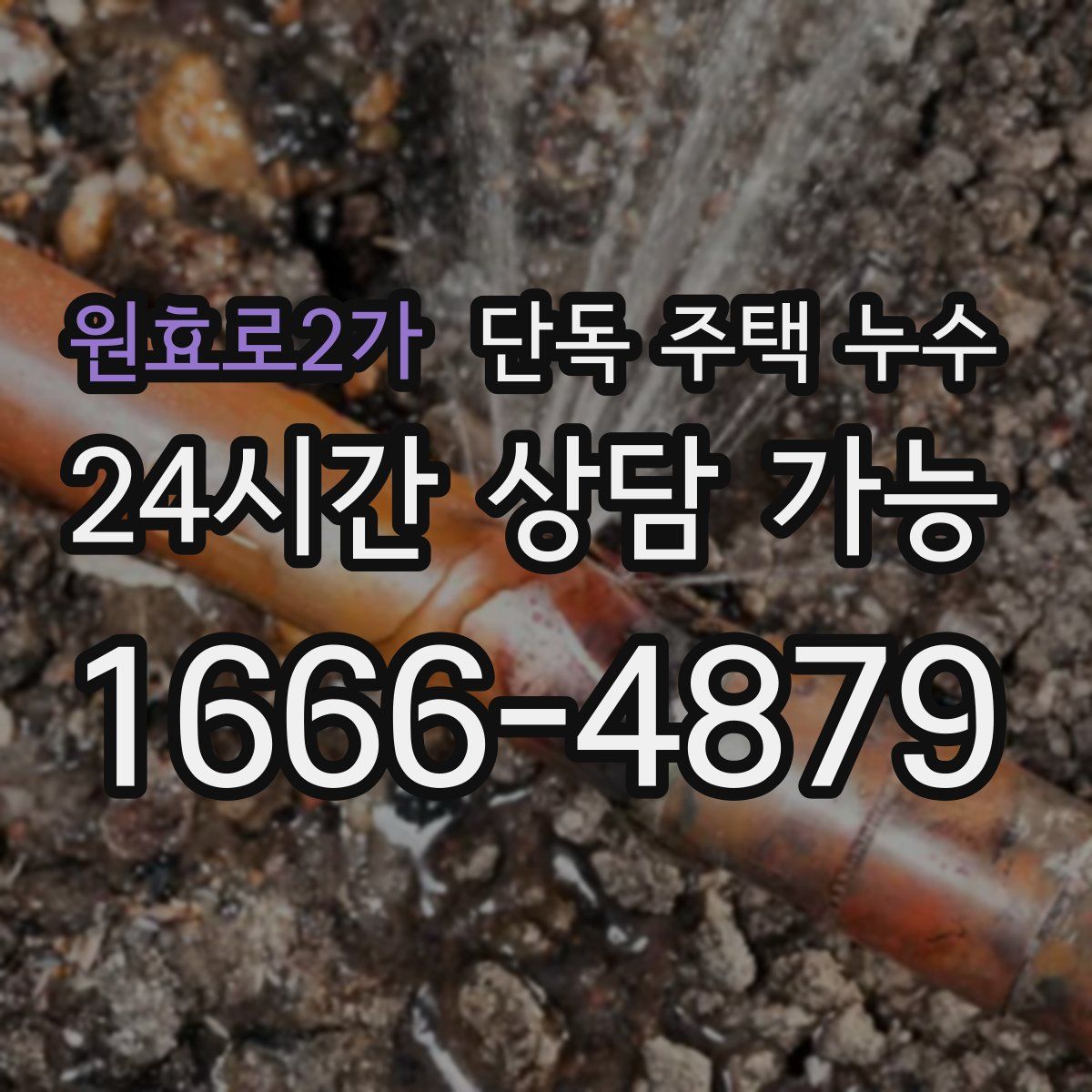 원효로2가 단독 주택 누수
