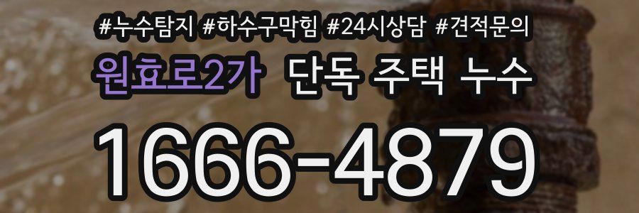 원효로2가 단독 주택 누수