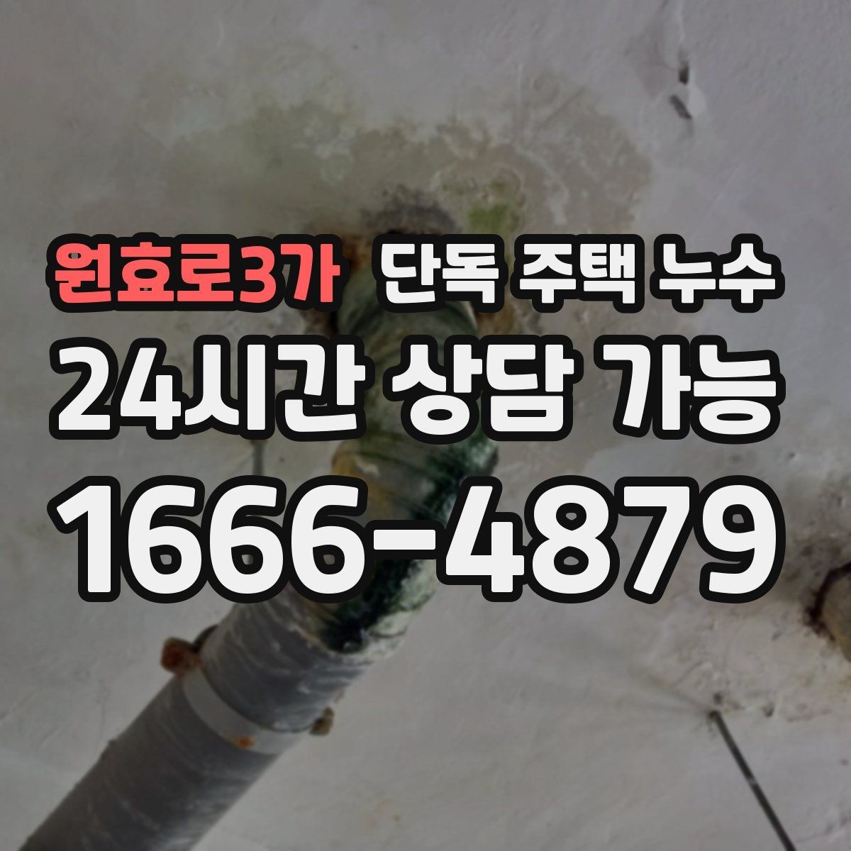 원효로3가 단독 주택 누수 홈통 청소만으로 예방 가능한 범위