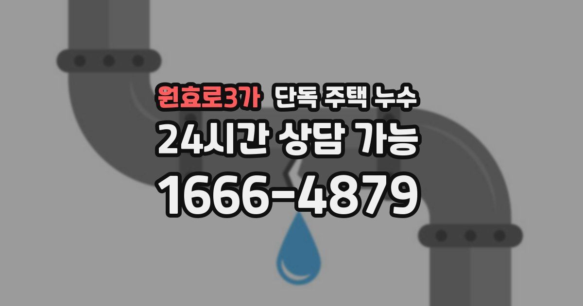 원효로3가 단독 주택 누수