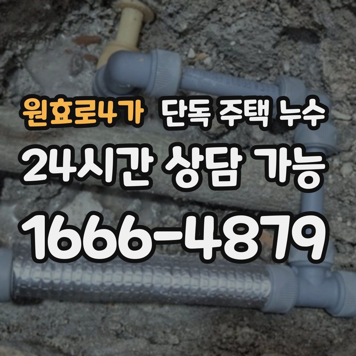 원효로4가 단독 주택 누수 현관 옆 벽이 젖는다면 외부 배수 점검