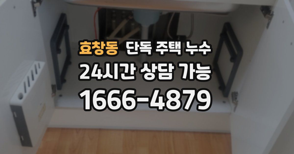 효창동 단독 주택 누수