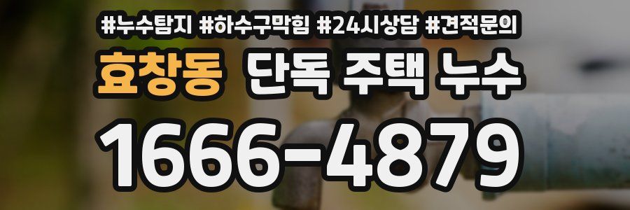 효창동 단독 주택 누수