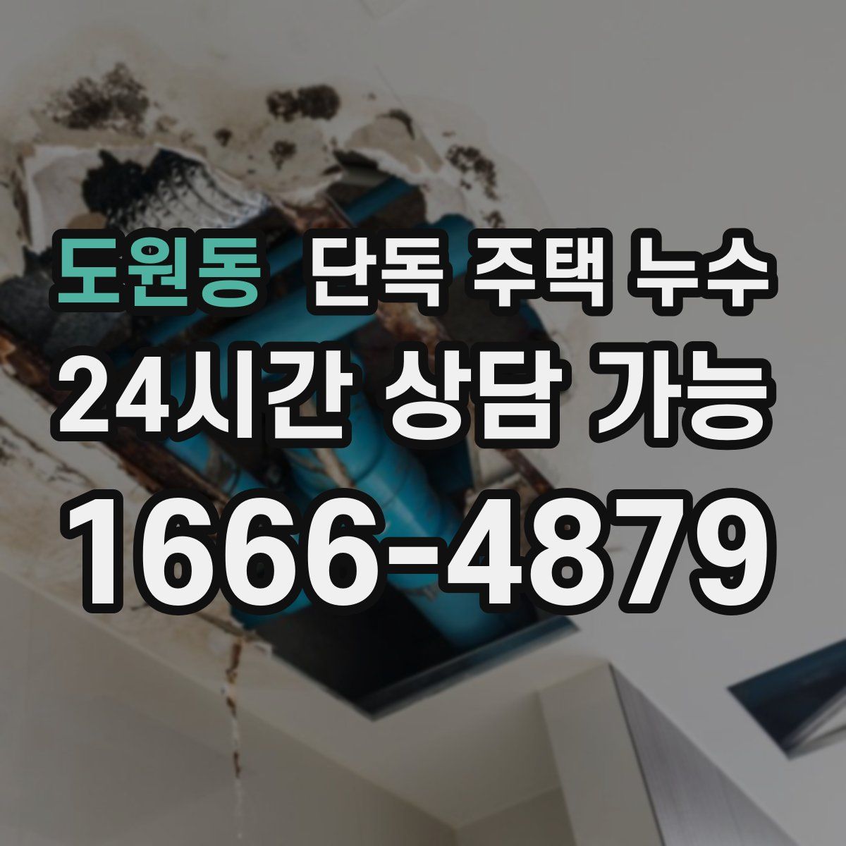 도원동 단독 주택 누수