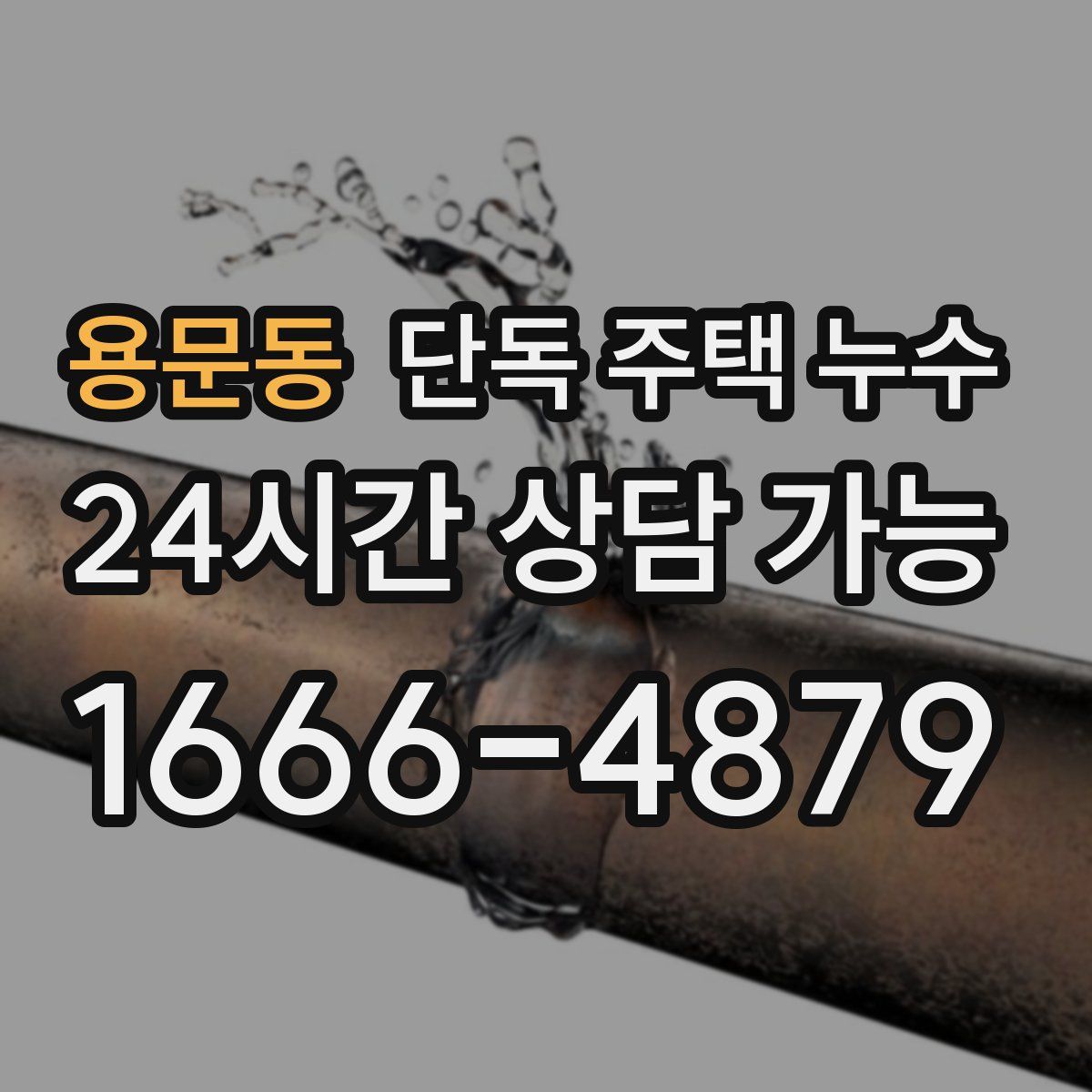 용문동 단독 주택 누수