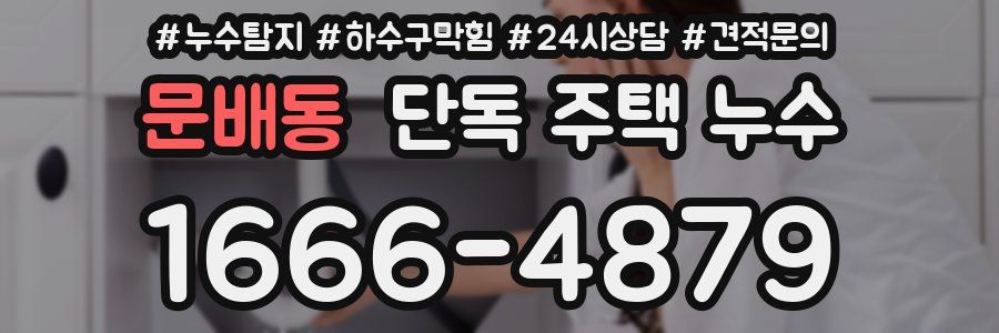 문배동 단독 주택 누수