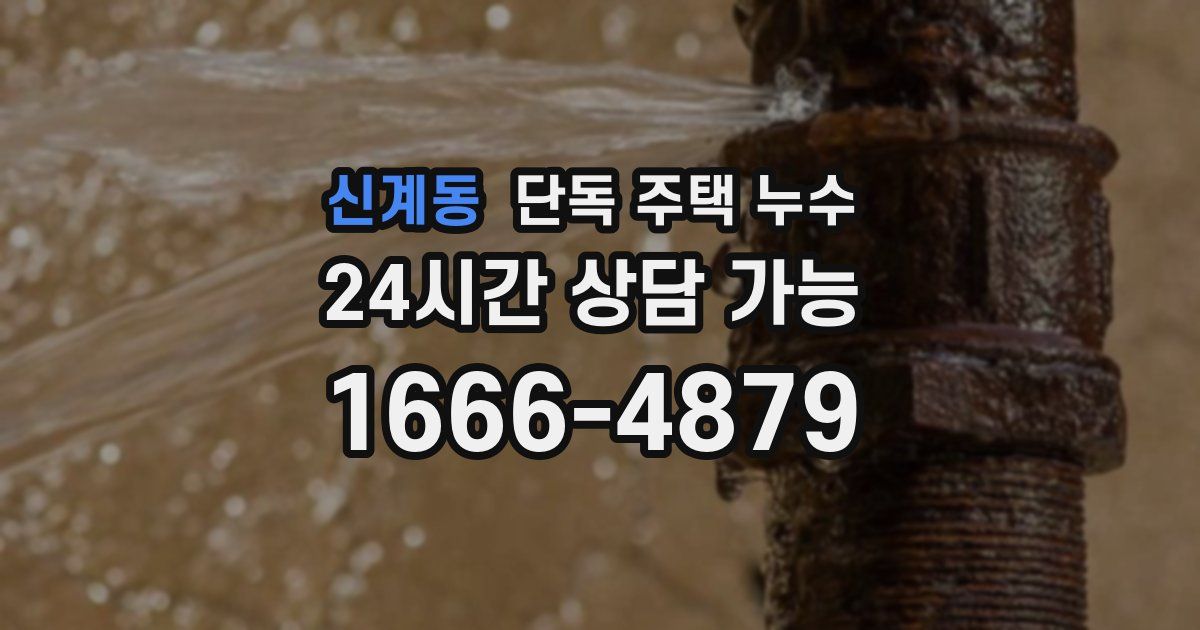 신계동 단독 주택 누수