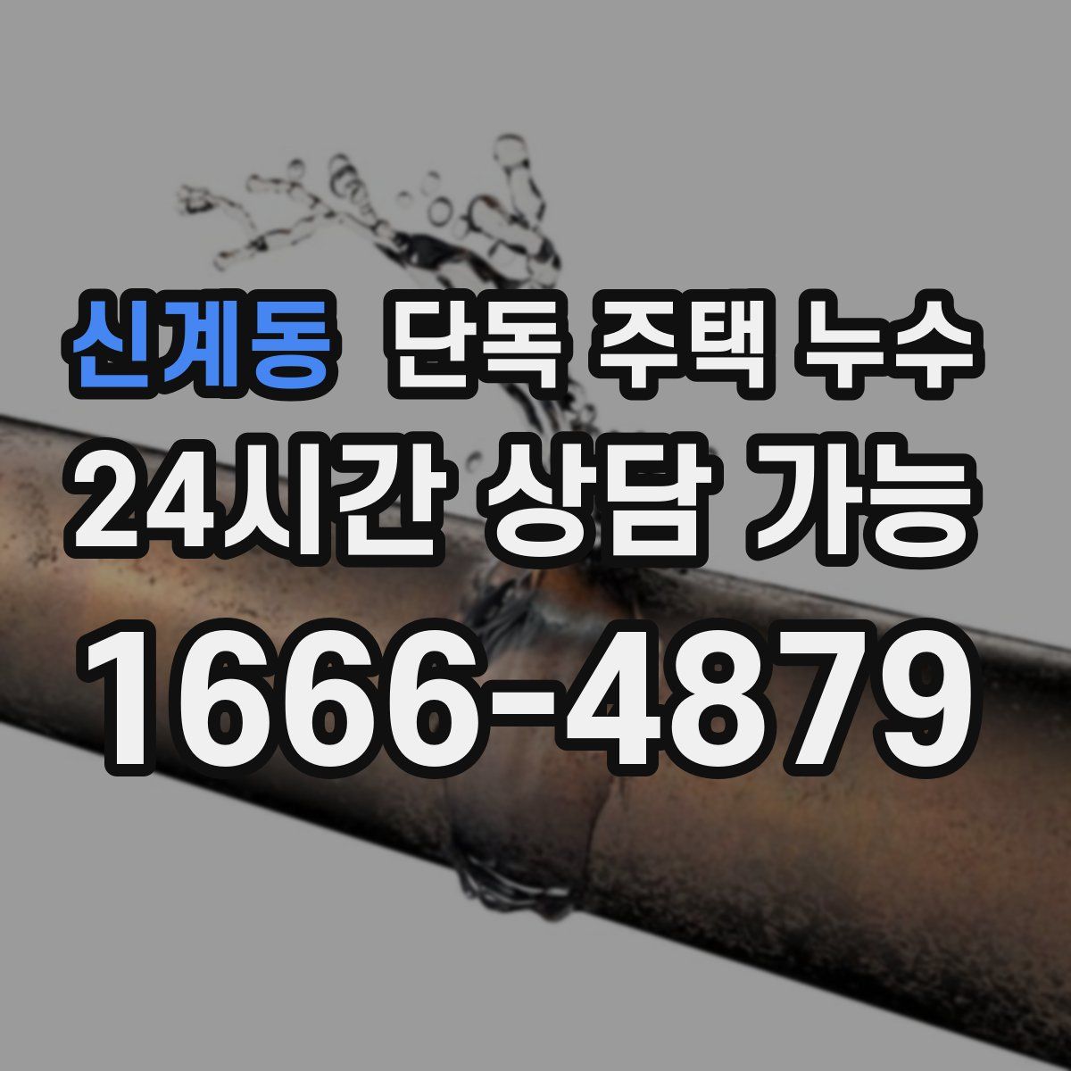 신계동 단독 주택 누수