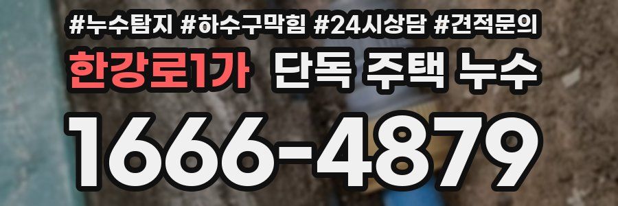 한강로1가 단독 주택 누수