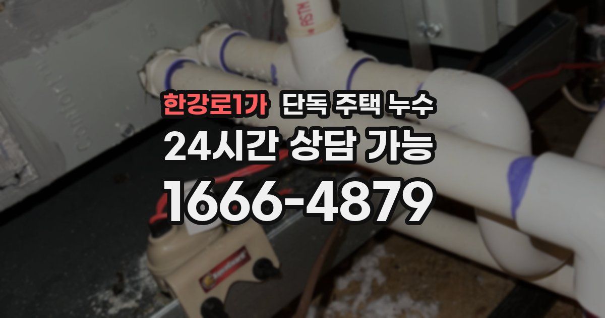 한강로1가 단독 주택 누수