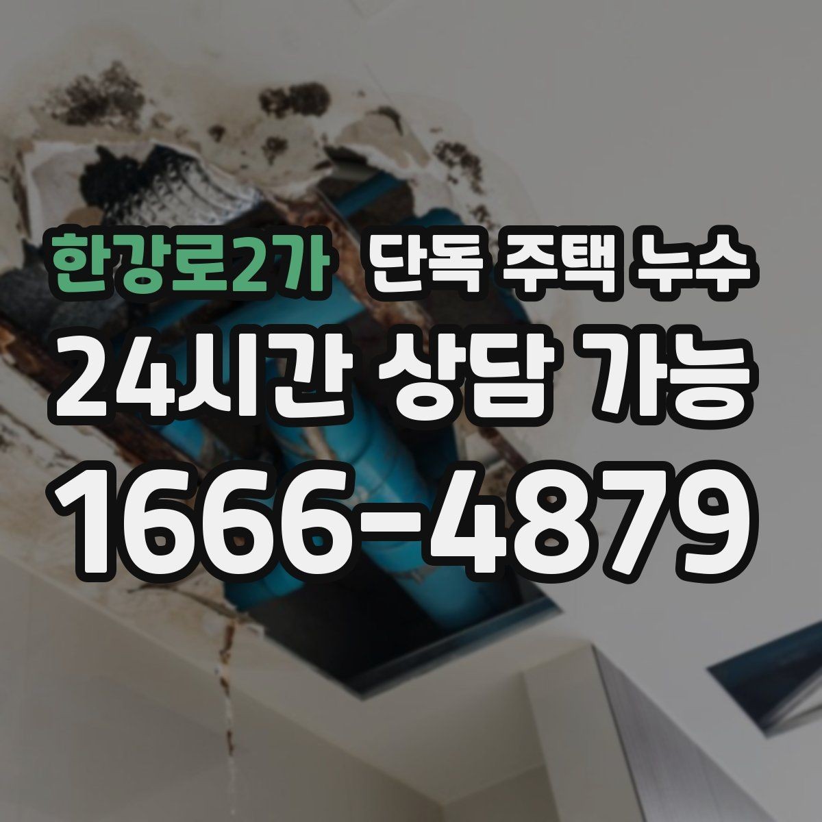 한강로2가 단독 주택 누수 세탁실 배수 주변이 축축할 때