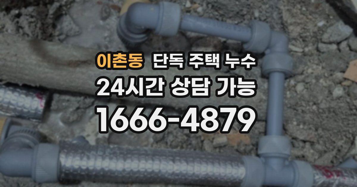 이촌동 단독 주택 누수