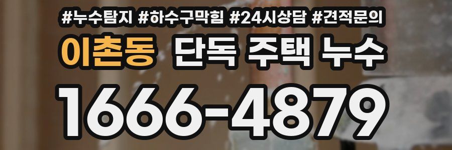 이촌동 단독 주택 누수