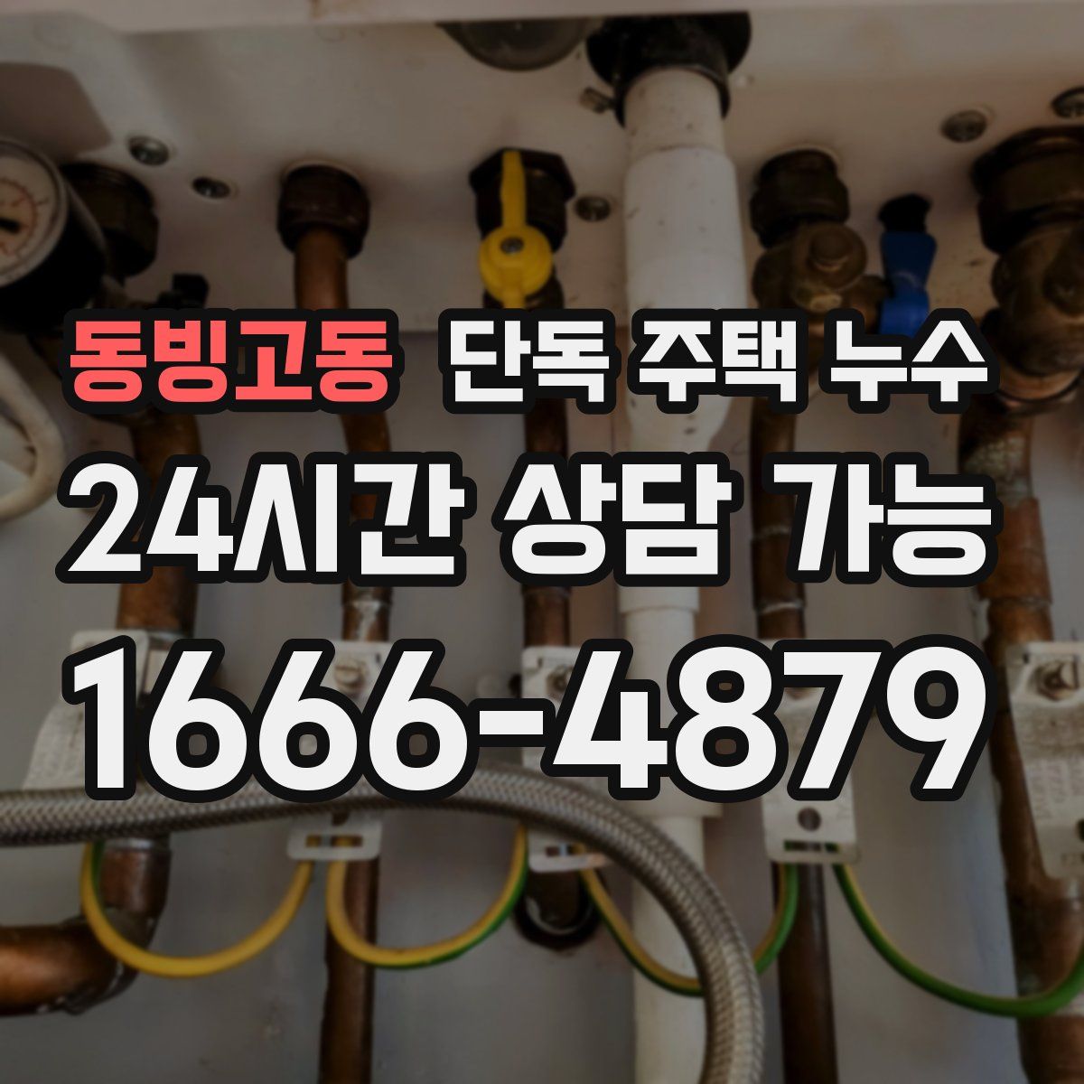 동빙고동 단독 주택 누수