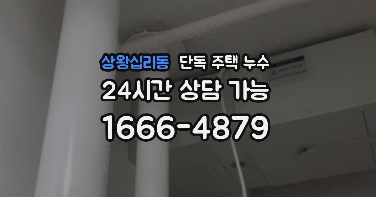 상왕십리동 단독 주택 누수