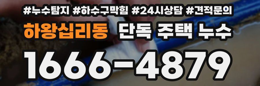 하왕십리동 단독 주택 누수