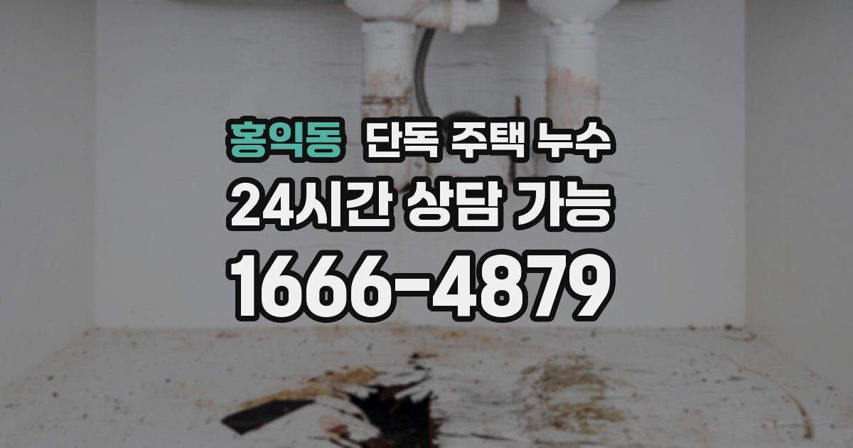 홍익동 단독 주택 누수