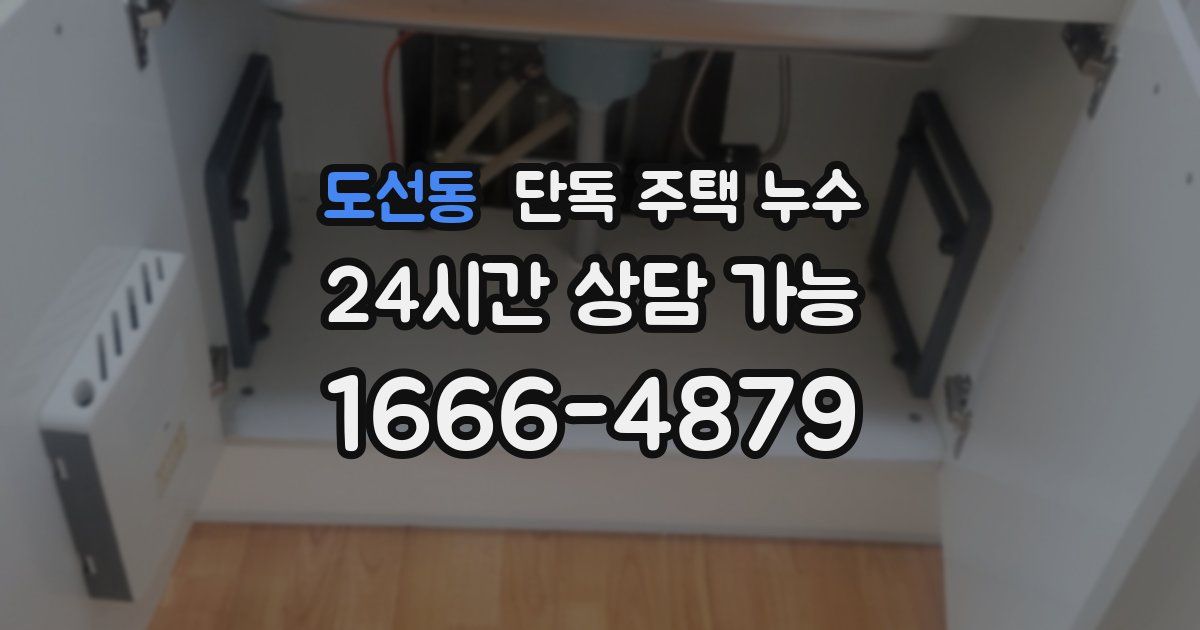 도선동 단독 주택 누수