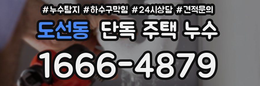 도선동 단독 주택 누수