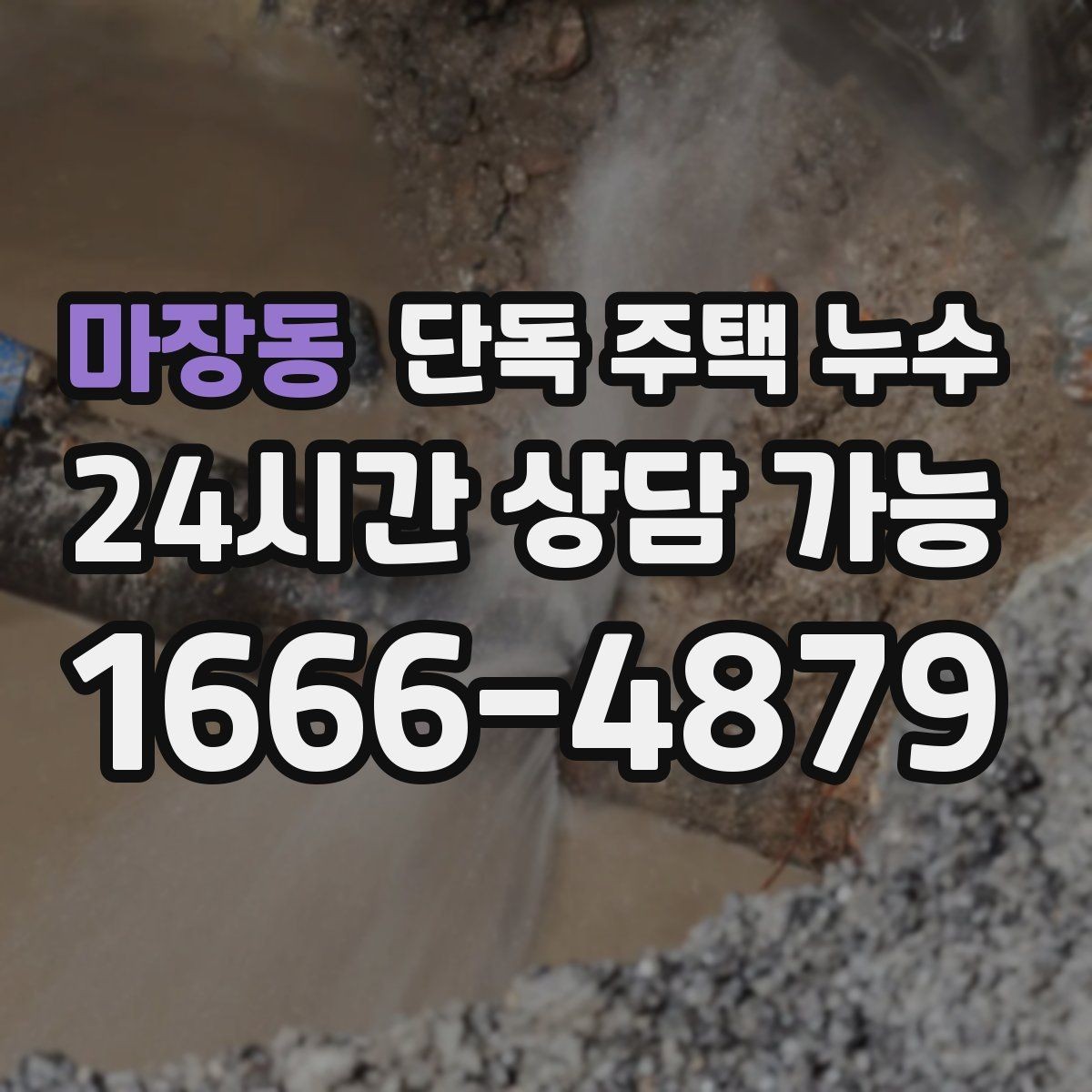 마장동 단독 주택 누수 걸레받이 주변이 부풀어 오를 때
