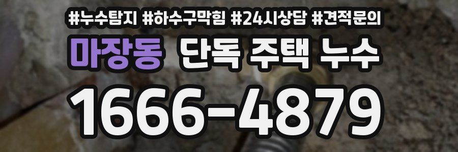 마장동 단독 주택 누수
