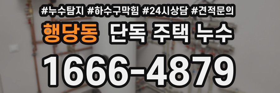 행당동 단독 주택 누수