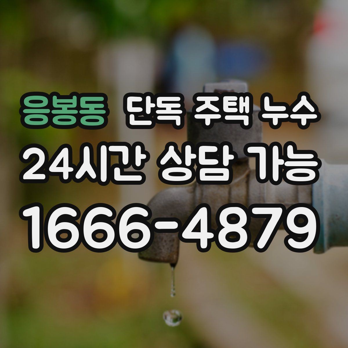 응봉동 단독 주택 누수 코킹만 해도 되는 경우와 아닌 경우