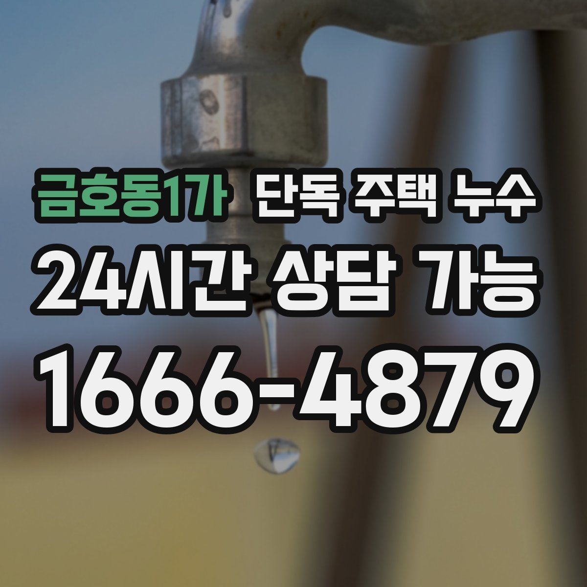 금호동1가 단독 주택 누수 피해를 키우기 전에 해야 할 응급 조치
