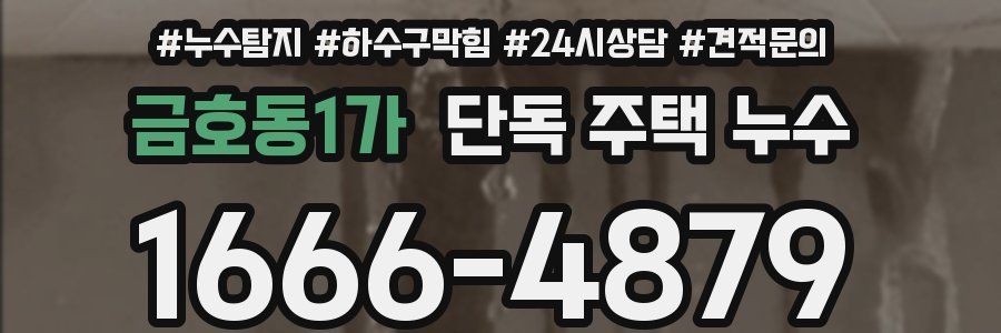 금호동1가 단독 주택 누수