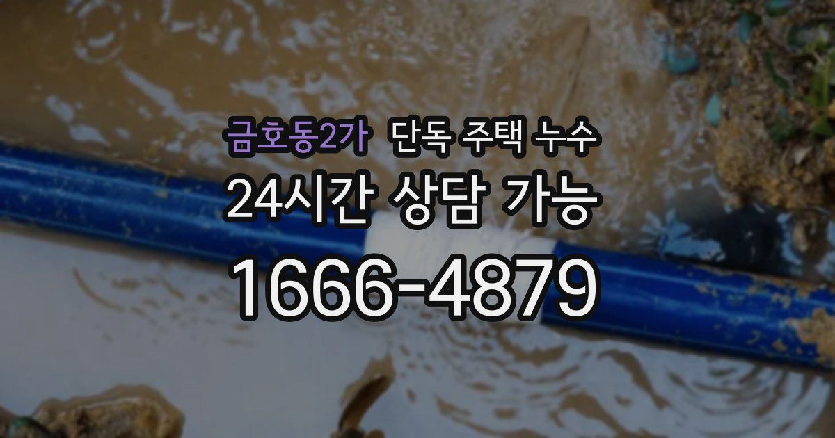 금호동2가 단독 주택 누수