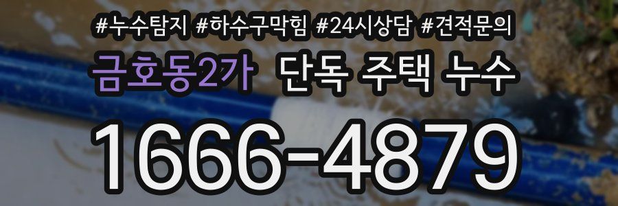 금호동2가 단독 주택 누수