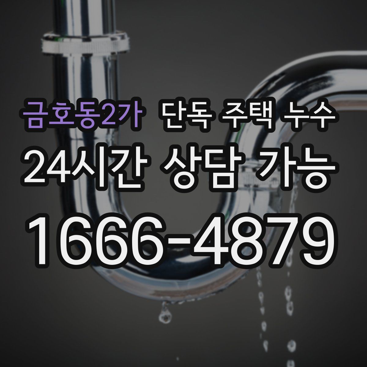 금호동2가 단독 주택 누수